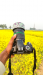 Nikon D3200 with 70-300 Zoom Lens, Great Condition, 24MP
